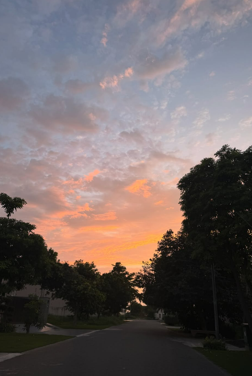 sunset skies